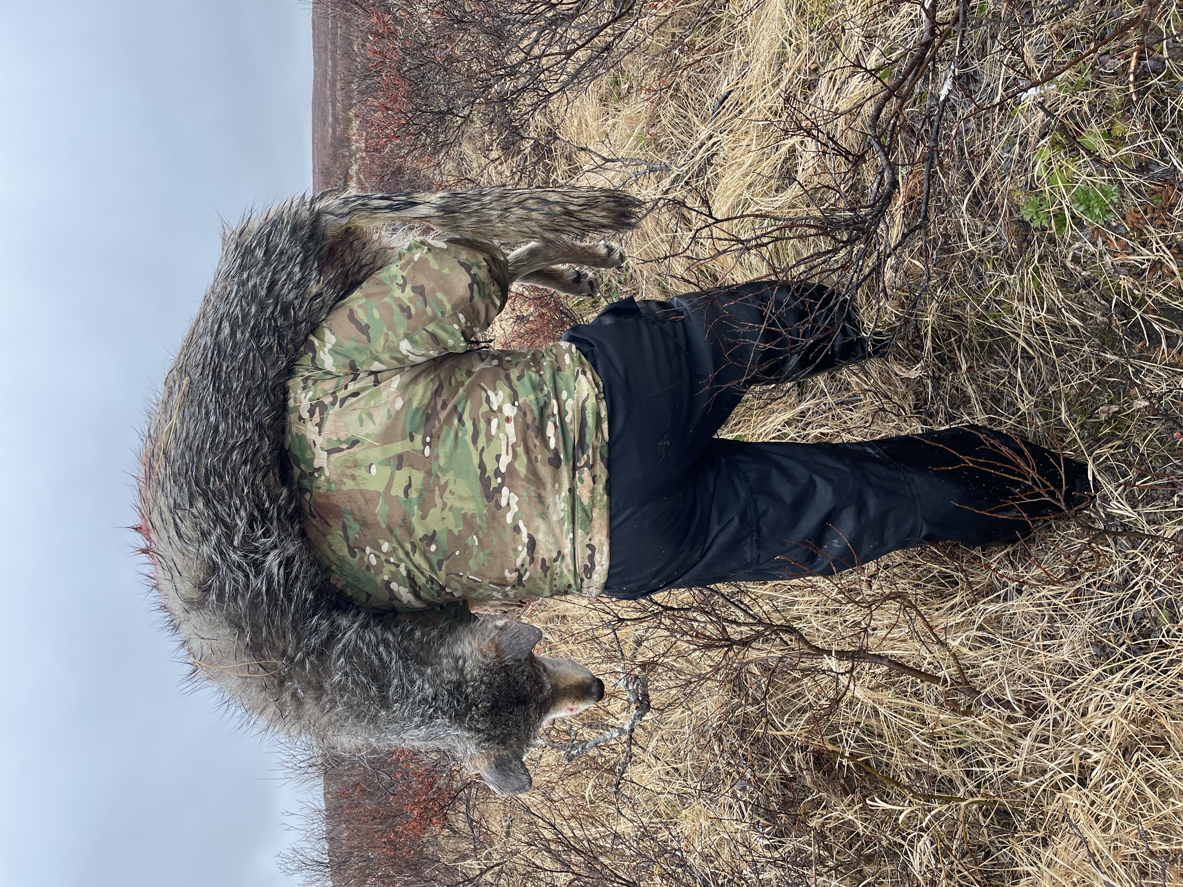 Alaska media photo 11