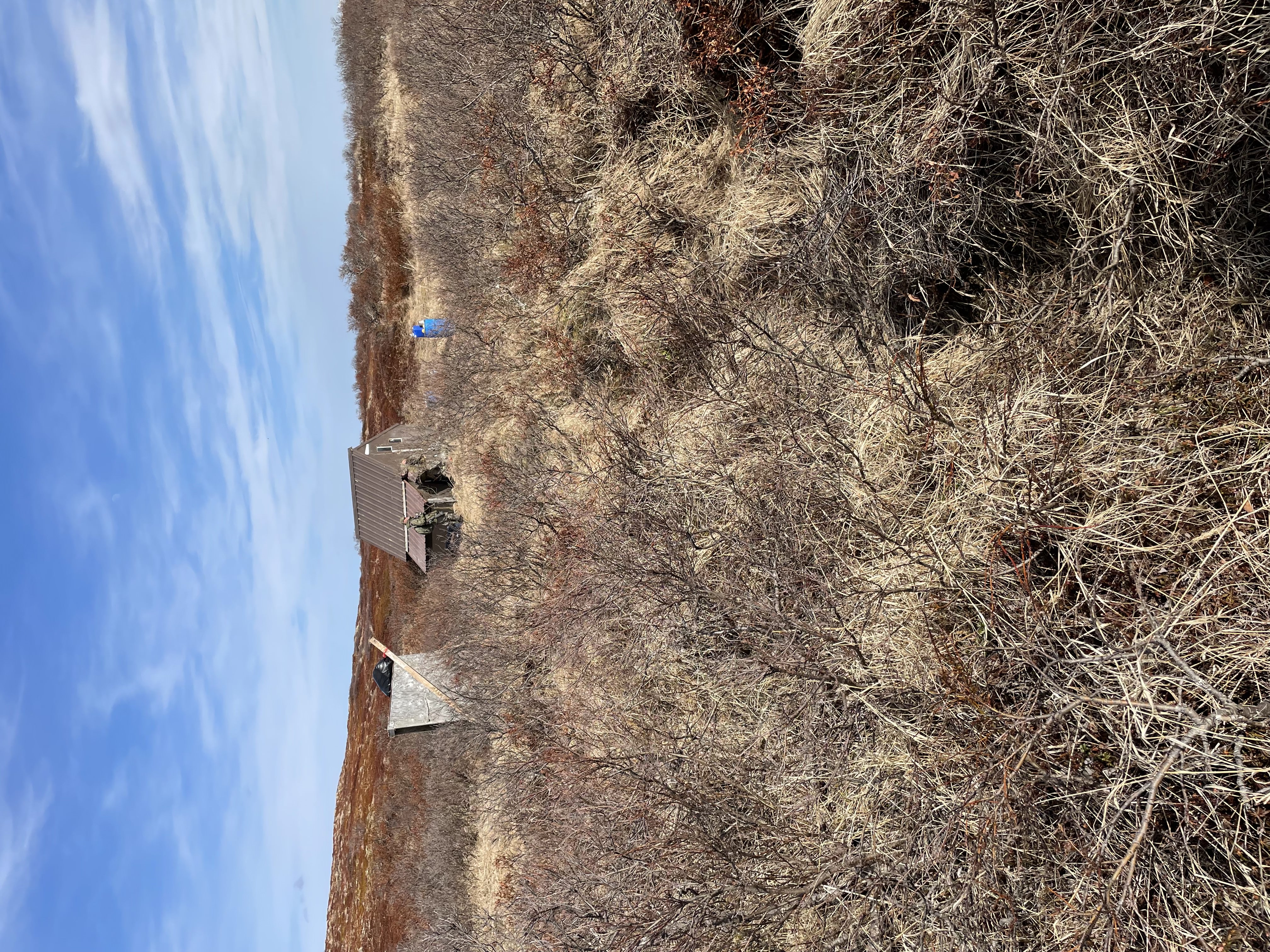 Alaska media photo 13