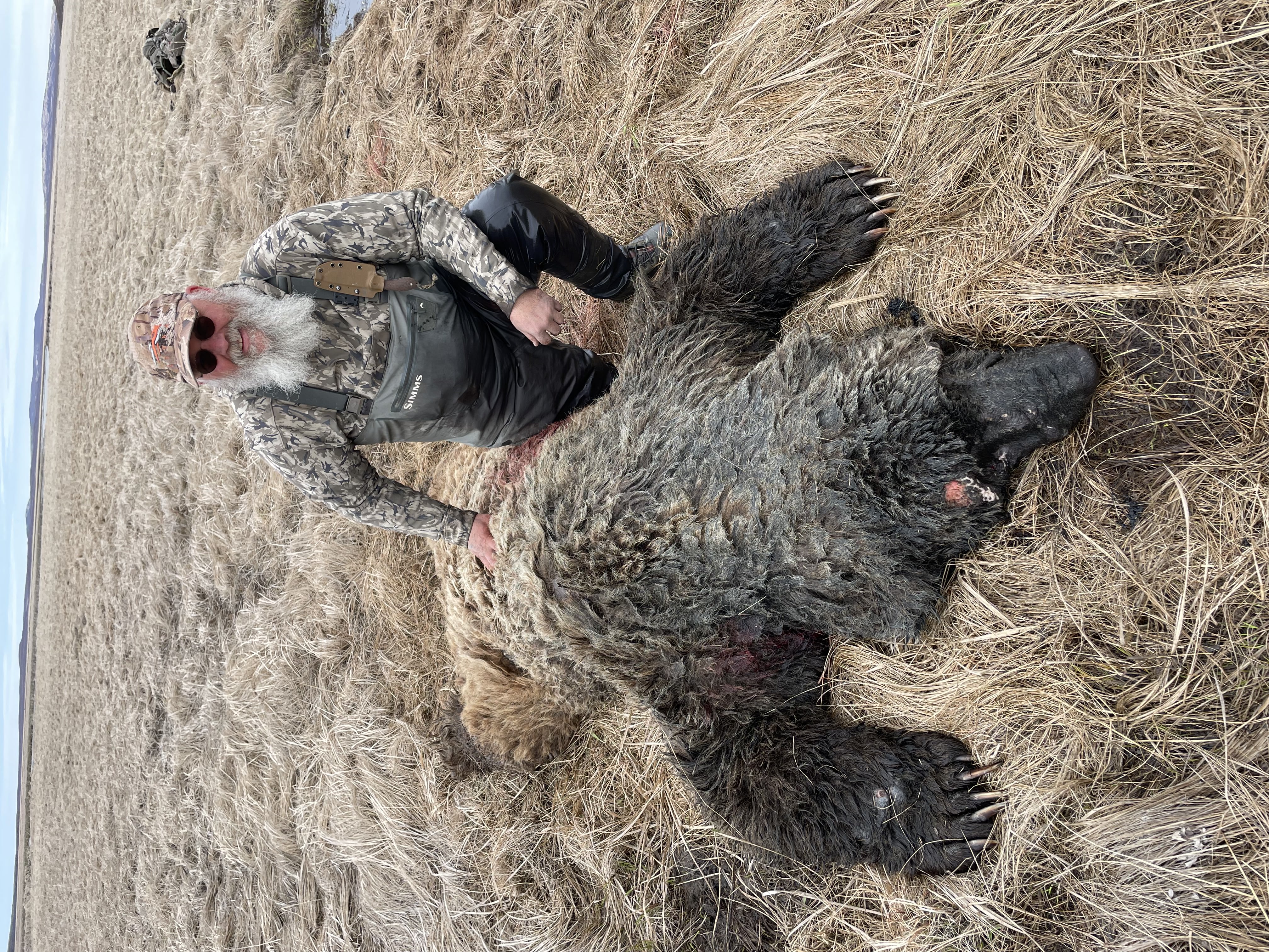 Alaska media photo 16